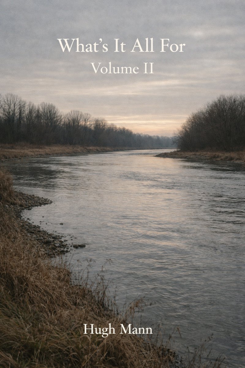 What's It All For Vol. II cover
